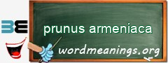 WordMeaning blackboard for prunus armeniaca